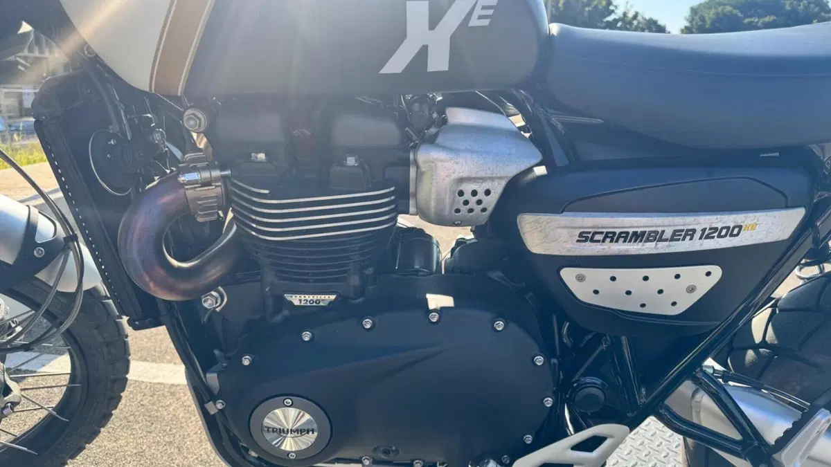 Triumph Scrambler 1200 XE (2026)  (7)
