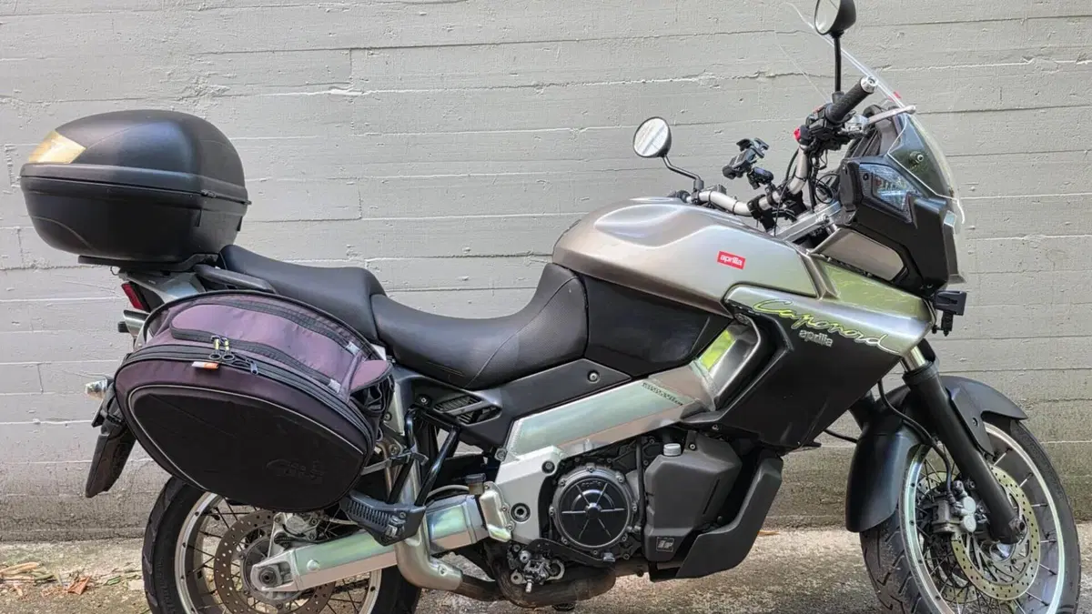 Aprilia Caponord ETV 1000 (2001 - 04)  (8)