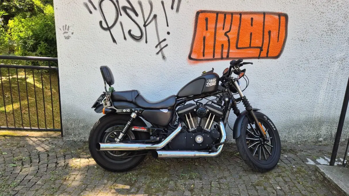 Harley-Davidson 883 Iron (2012 - 14) - XL 883N  (2)