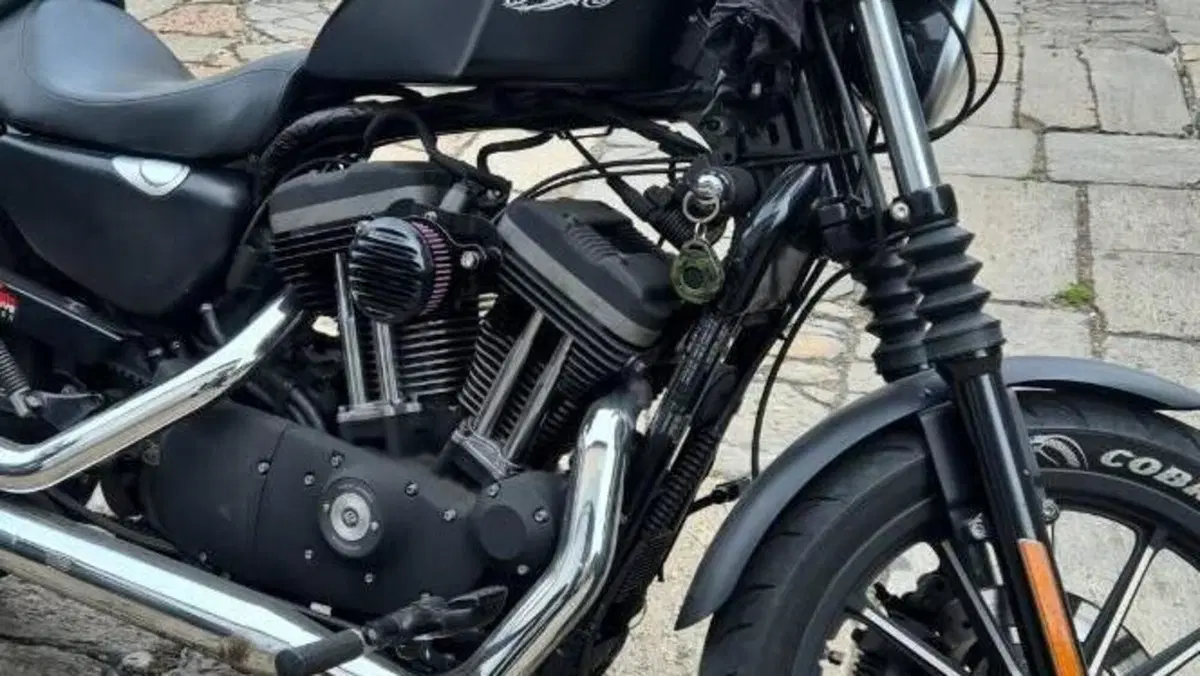 Harley-Davidson 883 Iron (2012 - 14) - XL 883N  (4)