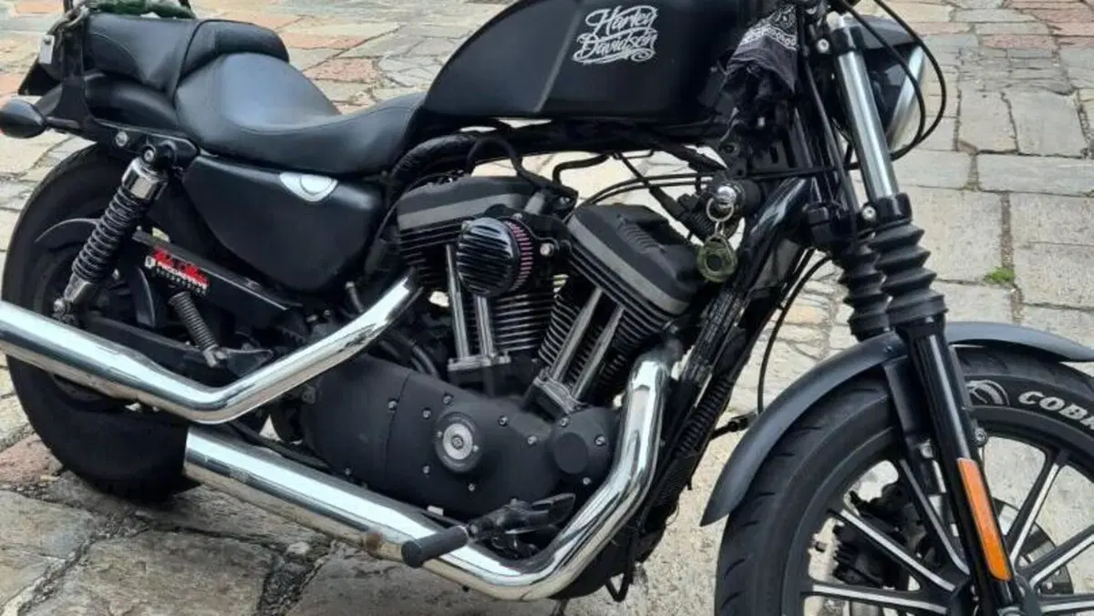 Harley-Davidson 883 Iron (2012 - 14) - XL 883N  (5)