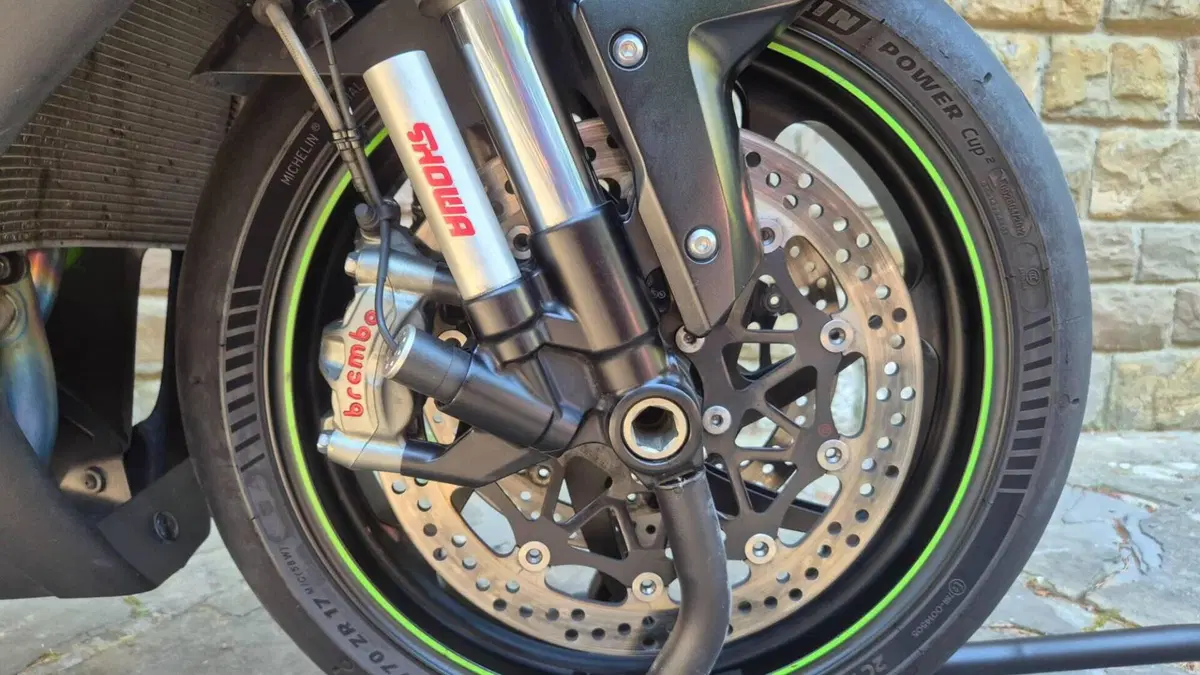 Kawasaki Ninja 1000 ZX-10R SE (2018)  (5)
