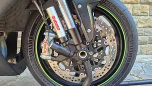 Kawasaki Ninja 1000 ZX-10R SE (2018)  (5)