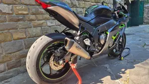 Kawasaki Ninja 1000 ZX-10R SE (2018)  (6)