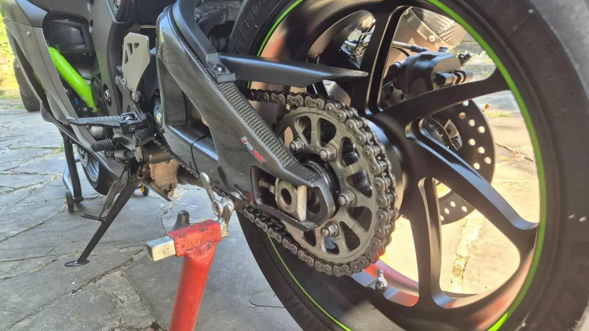 Kawasaki Ninja 1000 ZX-10R SE (2018)  (8)