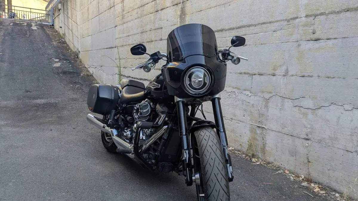 Harley-Davidson 107 Sport Glide (2018 - 20)  (2)