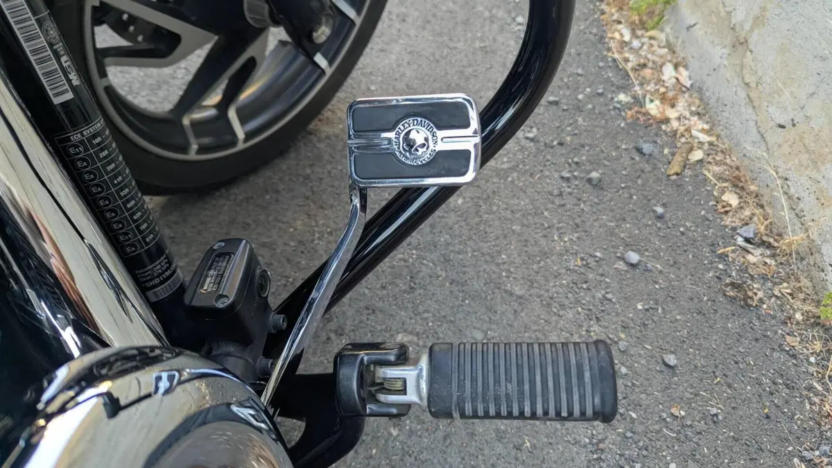 Harley-Davidson 107 Sport Glide (2018 - 20)  (6)