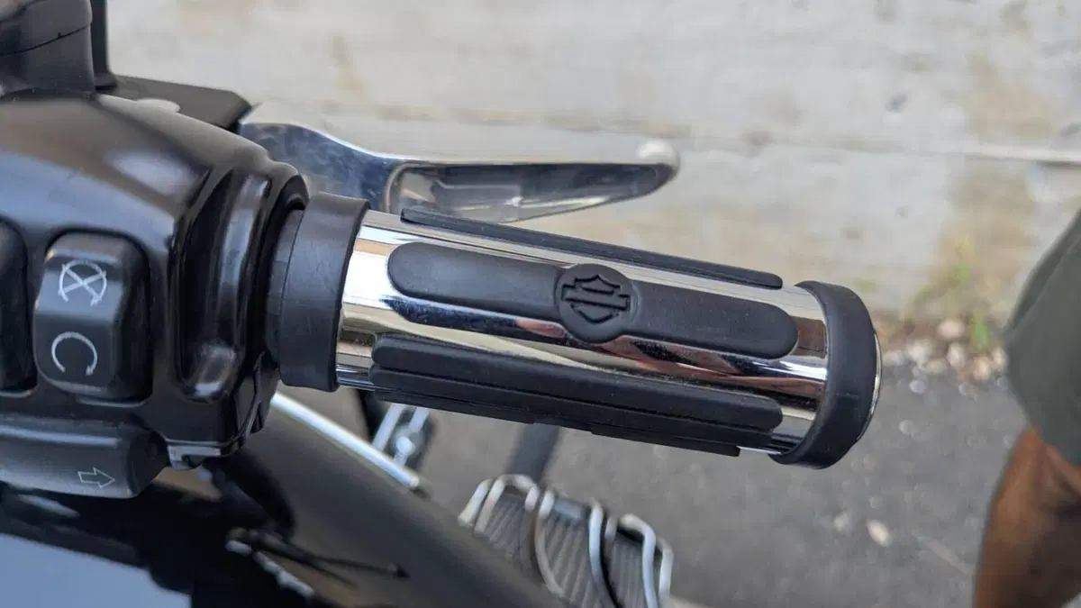 Harley-Davidson 107 Sport Glide (2018 - 20)  (8)