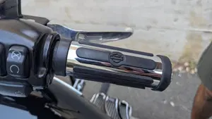 Harley-Davidson 107 Sport Glide (2018 - 20)  (8)