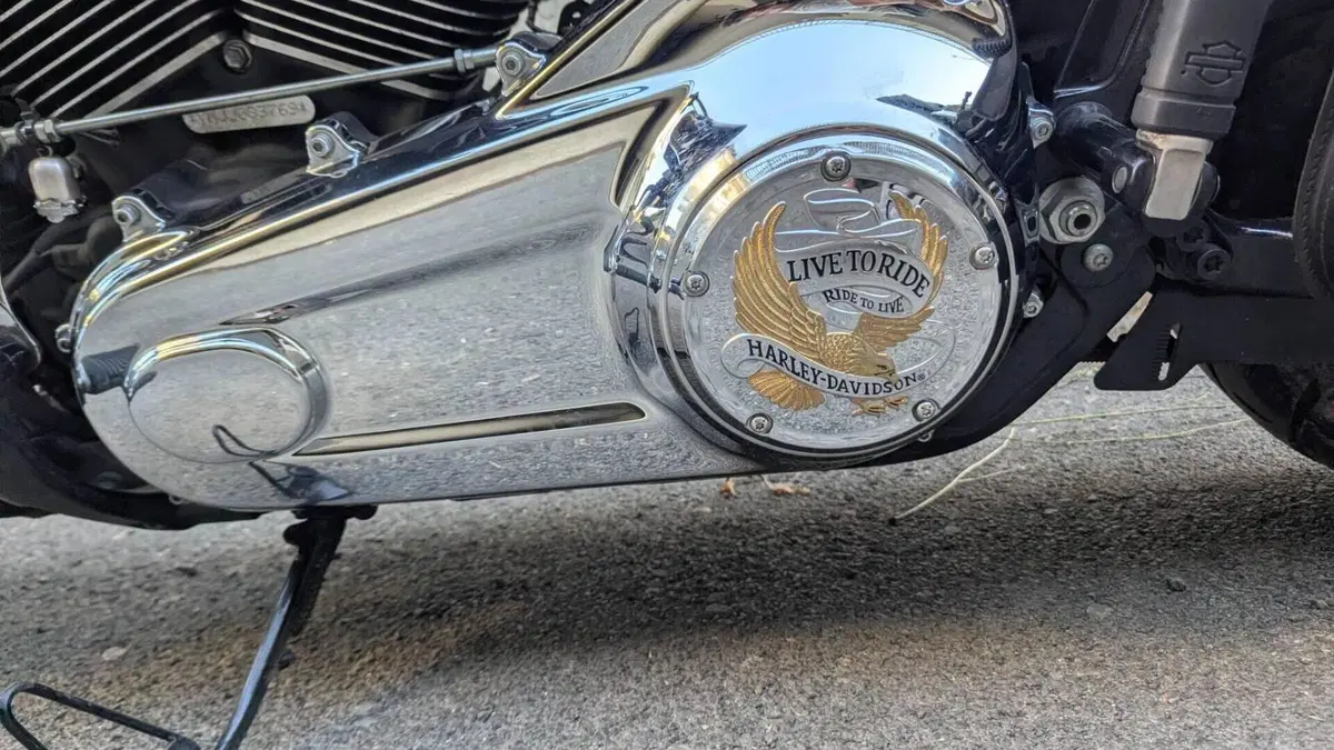 Harley-Davidson 107 Sport Glide (2018 - 20)  (11)