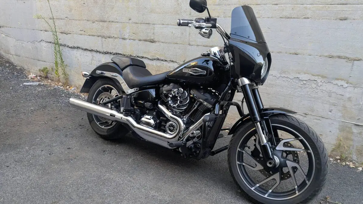 Harley-Davidson 107 Sport Glide (2018 - 20)  (12)