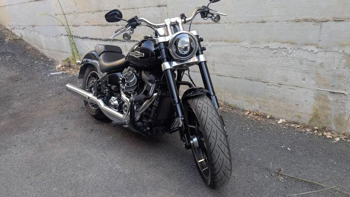 Harley-Davidson 107 Sport Glide (2018 - 20)  (13)