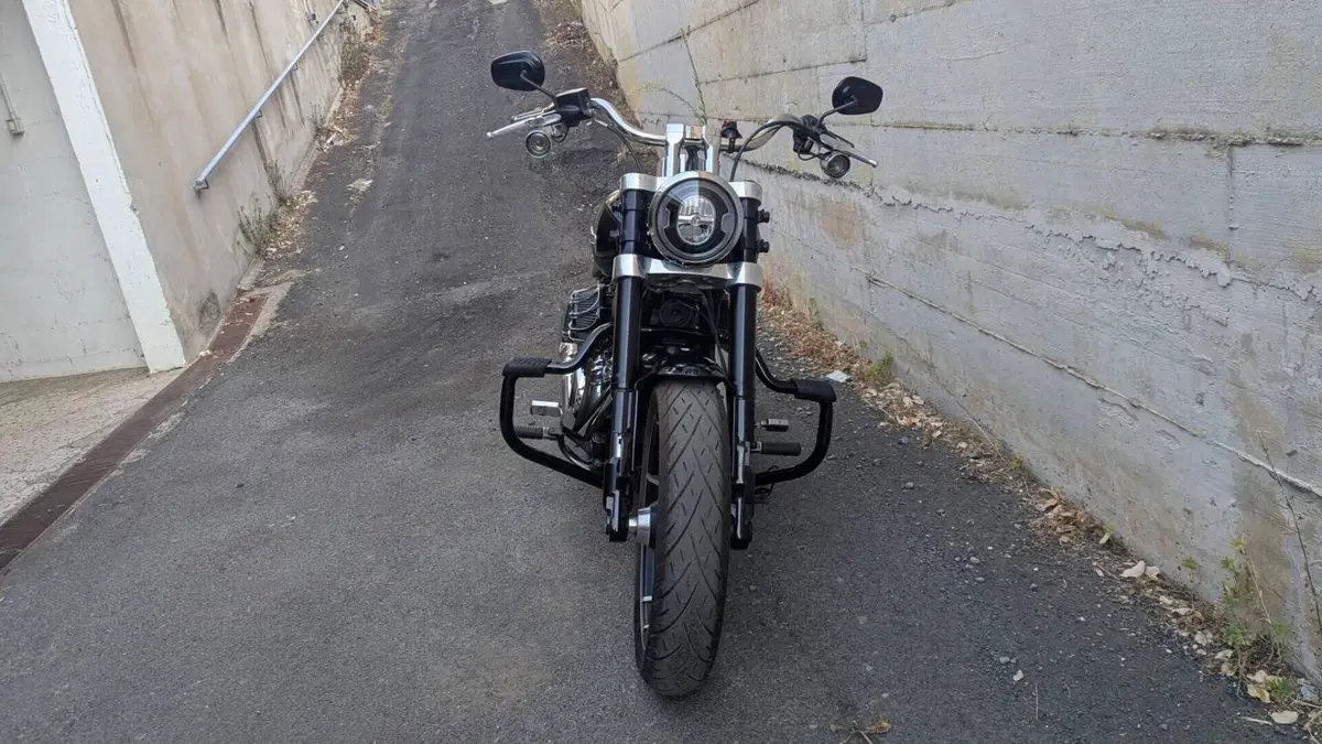 Harley-Davidson 107 Sport Glide (2018 - 20)  (15)