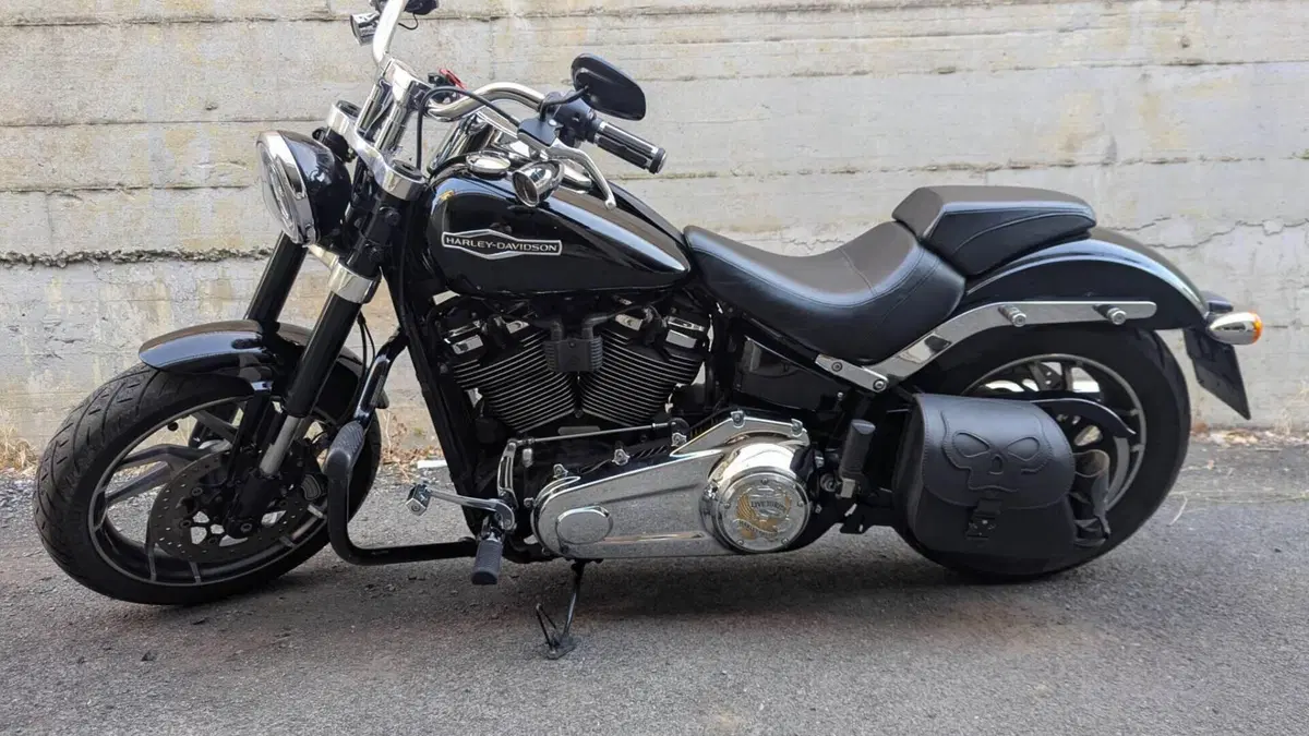 Harley-Davidson 107 Sport Glide (2018 - 20)  (16)