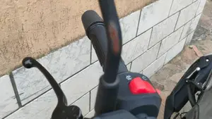 Benelli Leoncino 125 (2022 - 25)  (8)