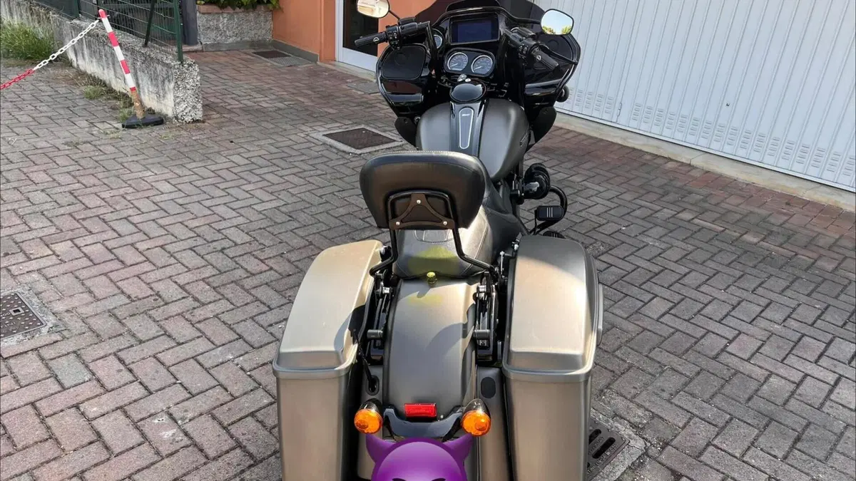 Harley-Davidson 114 Road Glide Special (2019 - 20) - FLTRXS  (4)