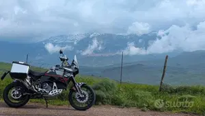 Ducati DesertX (2022 - 25)  (2)