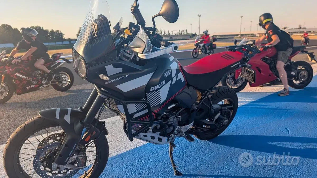 Ducati DesertX (2022 - 25) 