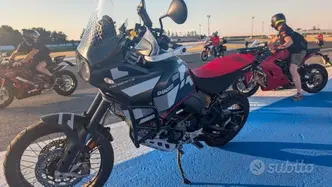 Ducati DesertX (2022 - 25) usata