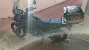 Kawasaki KLE 500 (2005 - 06)  (6)