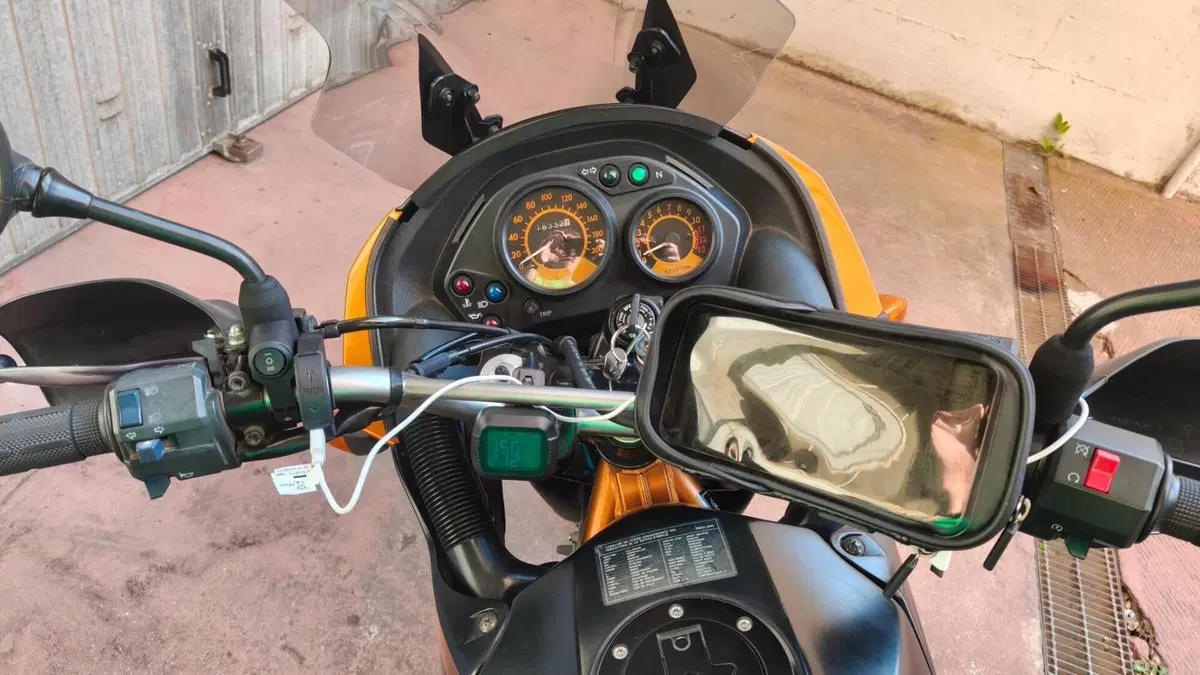 Kawasaki KLE 500 (2005 - 06)  (9)