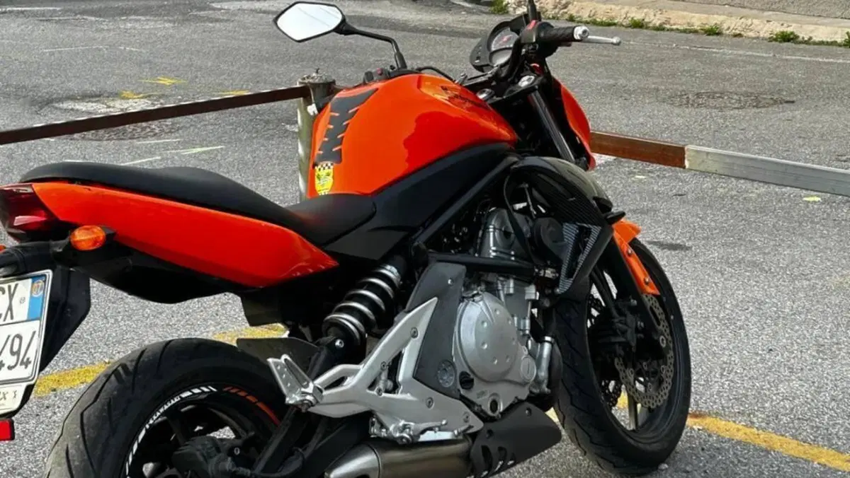 Kawasaki ER-6N (2006 - 09)  (2)