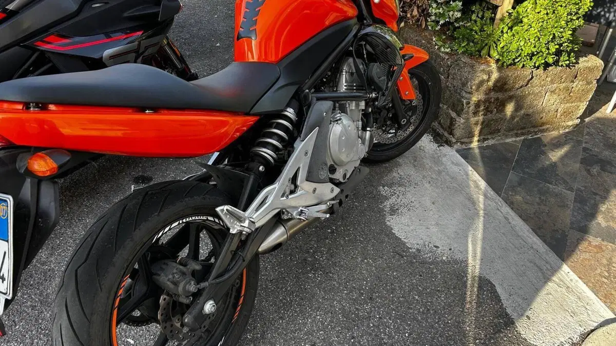 Kawasaki ER-6N (2006 - 09)  (3)