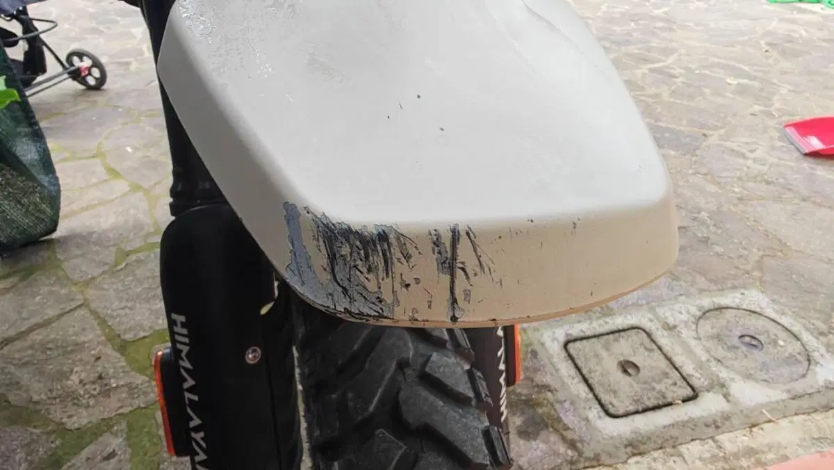 Royal Enfield Himalayan 450 (2024 - 26)  (6)