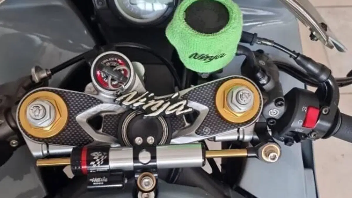 Kawasaki Ninja 636 ZX-6R (2005 - 06)  (6)