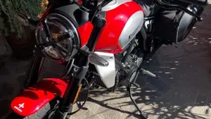 Ducati Scrambler 800 Icon (2023 - 24)  (2)