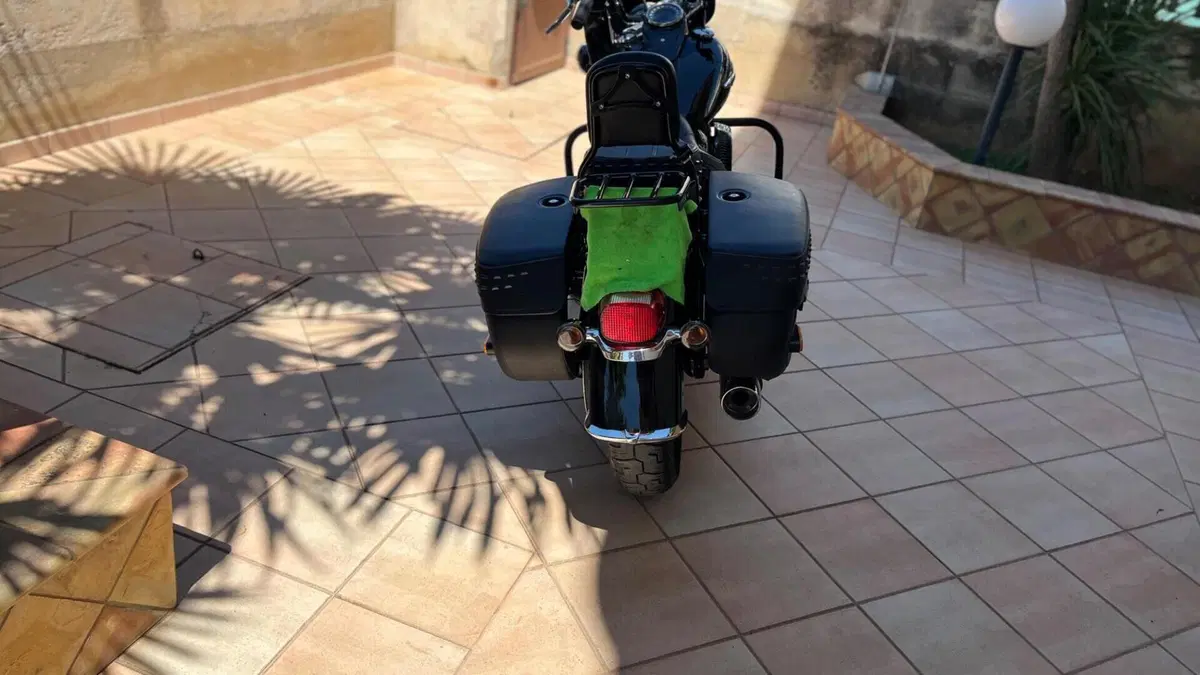 Harley-Davidson 114 Heritage Classic (2018 - 20) - FLHCS  (14)