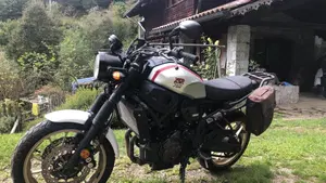 Yamaha XSR 700 XTribute (2019 - 20)  (3)