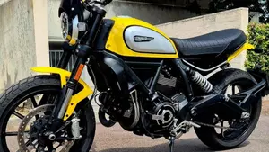 Ducati Scrambler 800 Icon (2021 - 22)  (2)