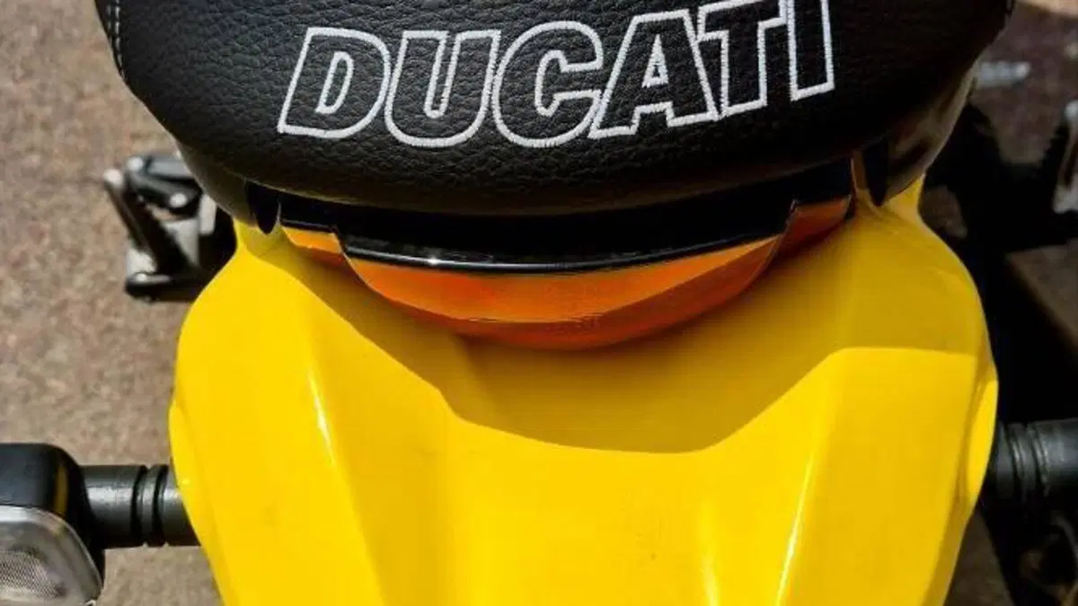 Ducati Scrambler 800 Icon (2021 - 22)  (6)