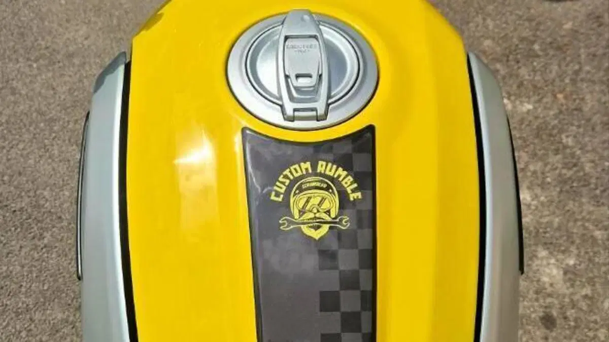 Ducati Scrambler 800 Icon (2021 - 22)  (7)