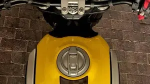 Ducati Scrambler 800 Icon (2021 - 22)  (9)