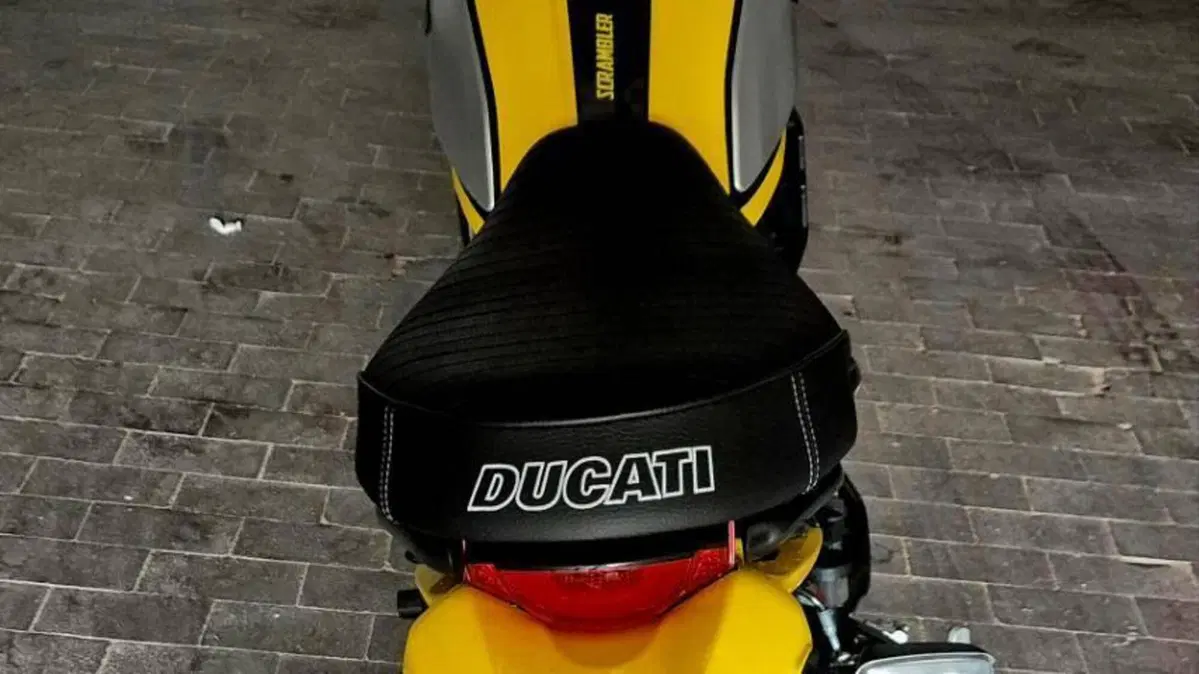 Ducati Scrambler 800 Icon (2021 - 22)  (11)