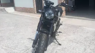 Ducati Scrambler 1100 Sport Pro (2020 - 25) usata