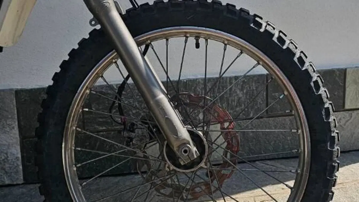 Betamotor RR 50 Enduro (2021 - 26)  (15)