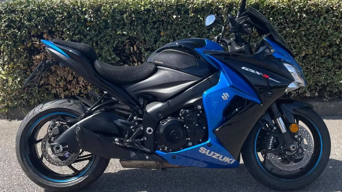 Suzuki GSX S 1000 F ABS (2017 - 20) 