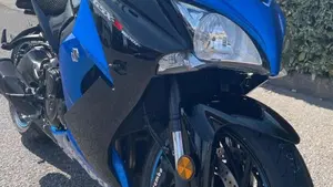 Suzuki GSX S 1000 F ABS (2017 - 20)  (3)