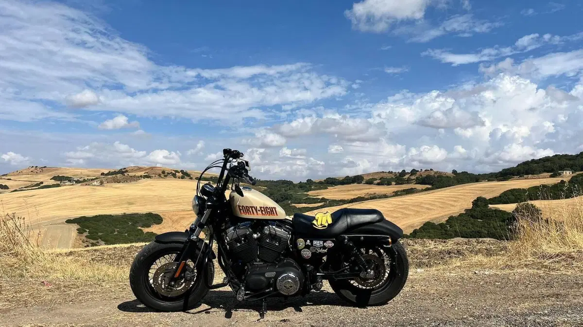 Harley-Davidson 1200 Forty-Eight (2010 - 15)  (3)
