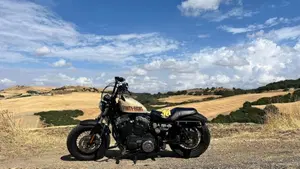 Harley-Davidson 1200 Forty-Eight (2010 - 15)  (3)