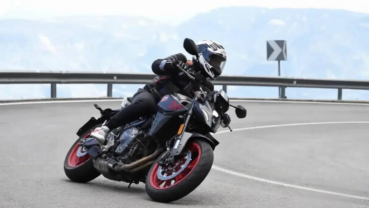 Suzuki GSX-8S (2025 - 26)  (2)