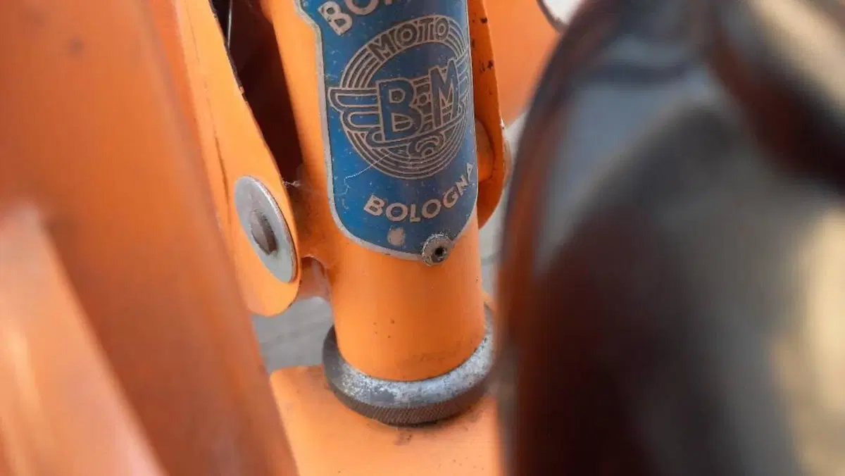 Bm   (5)