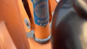 Bm   (5)