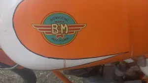 Bm   (8)