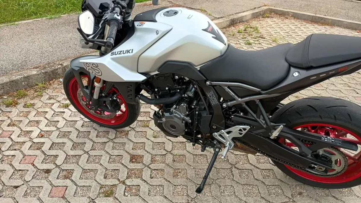 Suzuki GSX-8S (2025 - 26)  (3)