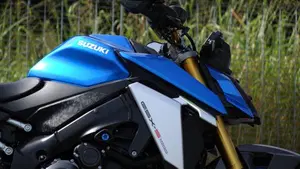 Suzuki GSX-S1000 (2021 - 25)  (7)