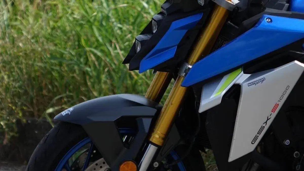 Suzuki GSX-S1000 (2021 - 25)  (12)